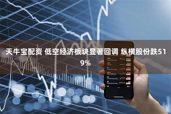 天牛宝配资 低空经济板块显著回调 纵横股份跌519%