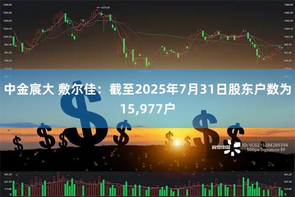 中金宸大 敷尔佳：截至2025年7月31日股东户数为15,977户
