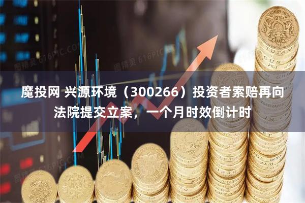 魔投网 兴源环境(300266)投资者索赔再向法院提交立案,一个月时效倒计时