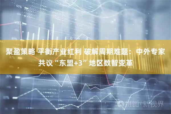 聚盈策略 平衡产业红利 破解周期难题：中外专家共议“东盟+3”地区数智变革